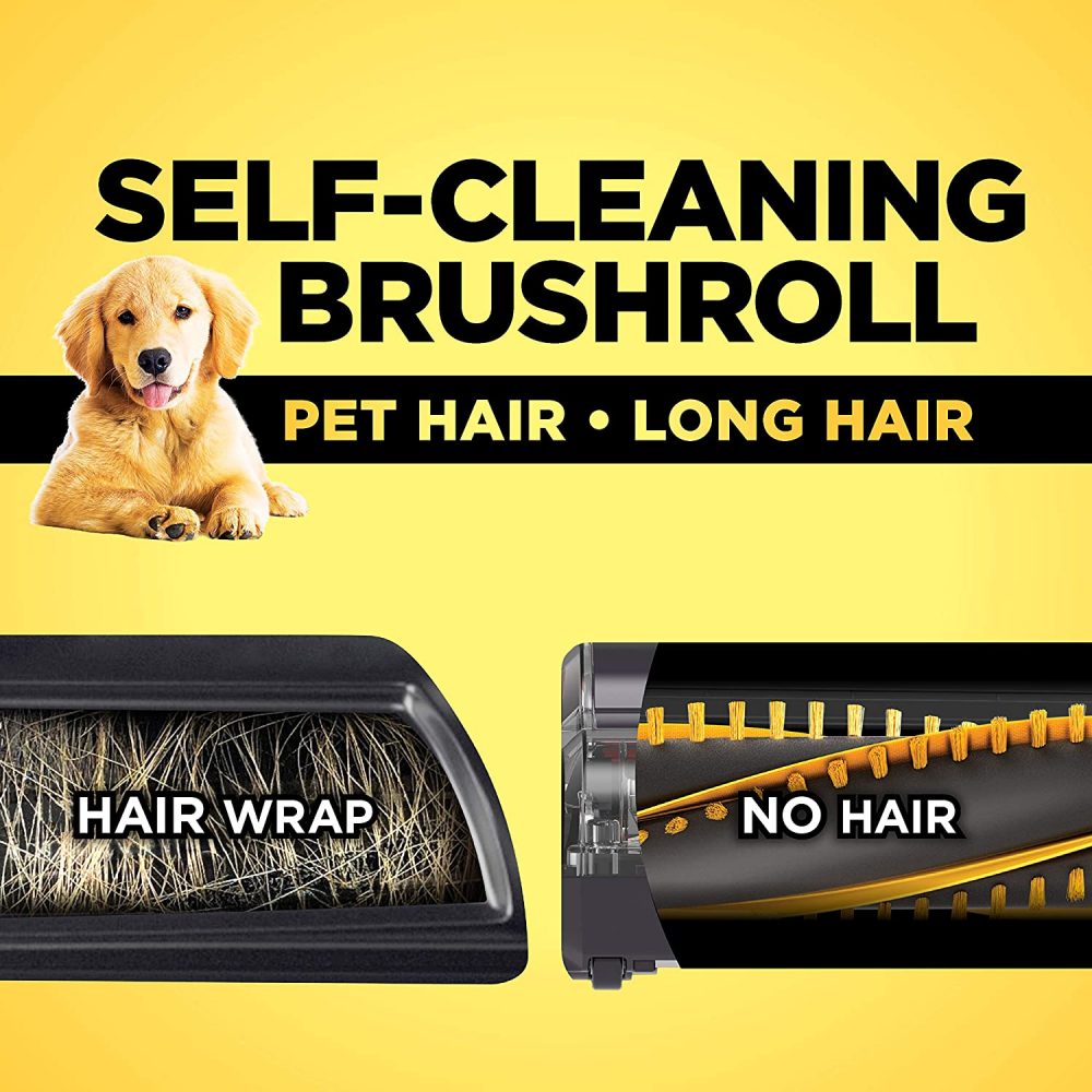 Best Cordless Vacuum For Pet Hair