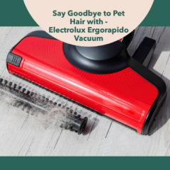 Electrolux Ergorapido Vacuum